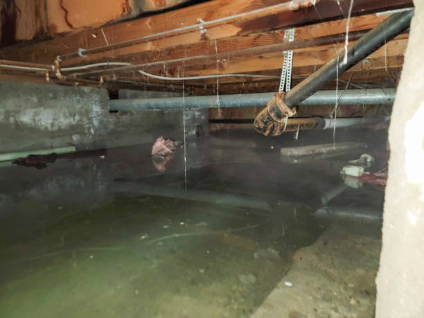 Best Flooded house restoration  in Henry, IL