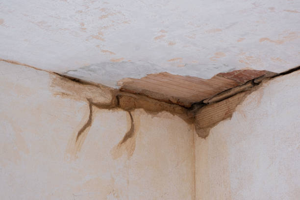 Best Carpet water damage restoration  in Henry, IL