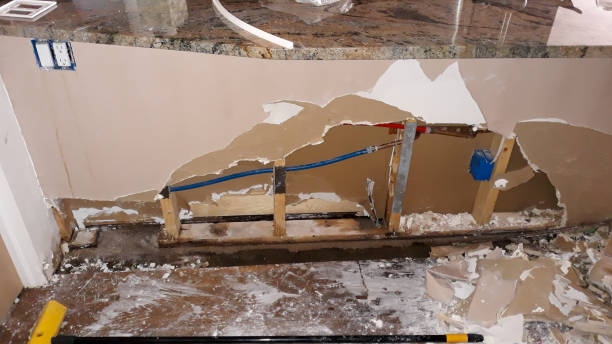 Best Water damage restoration process  in Henry, IL
